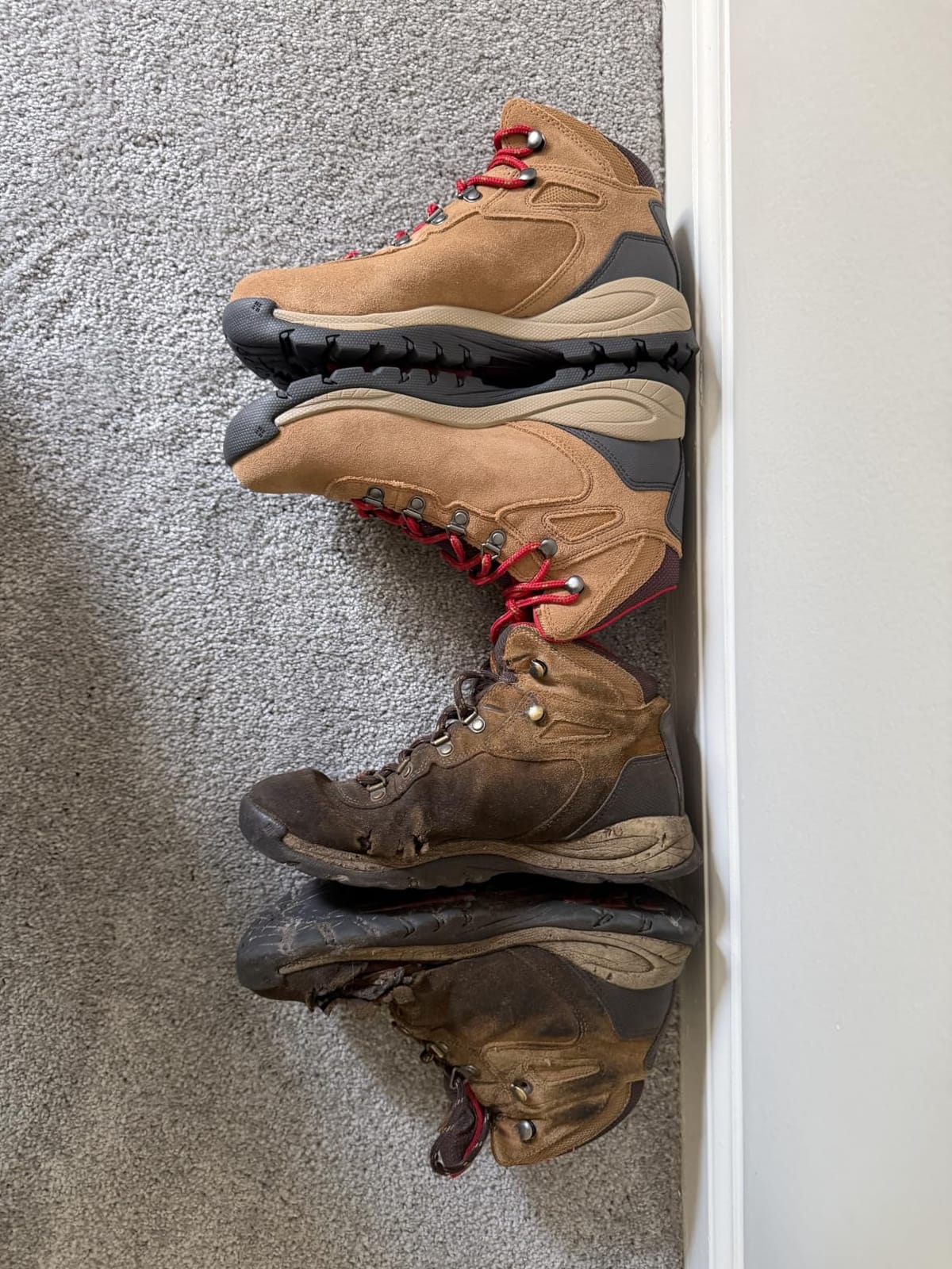 Columbia Women's Newton Ridge Plus Waterproof Amped Hiking Boot customer photo 2