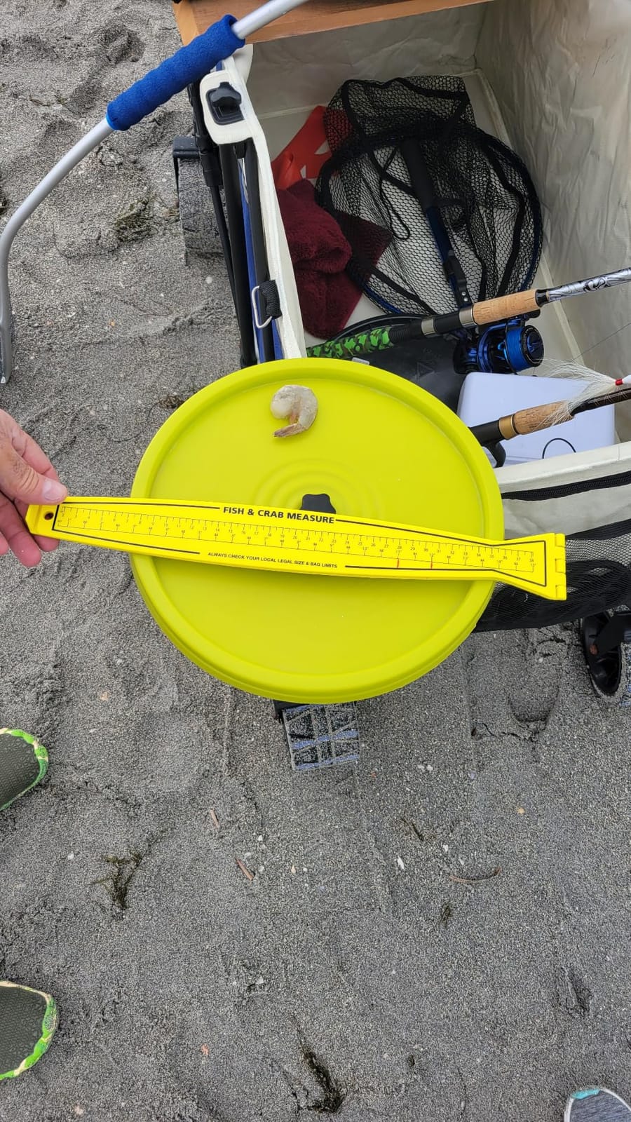 Fish Measuring Board - 32in/80cm Folding Fishing Ruler Lightweight Bump Board - Easy to Read and Portable Crab & Fish Measure Device, Fish Ruler for Boat, Kayak, Yellow customer photo 2