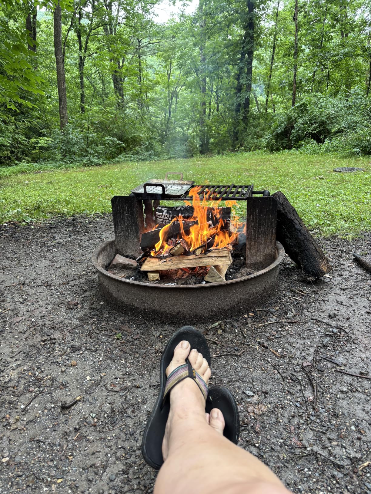 HGD Fire Starter, Mini Natural Fire Starters for Campfires, BBQ Grill, Charcoal Chimney, Outdoor Pit, Indoor Fireplace, Wood Stove - Water Resistant Firestarter Sticks - Camping Accessories Essentials customer photo 1