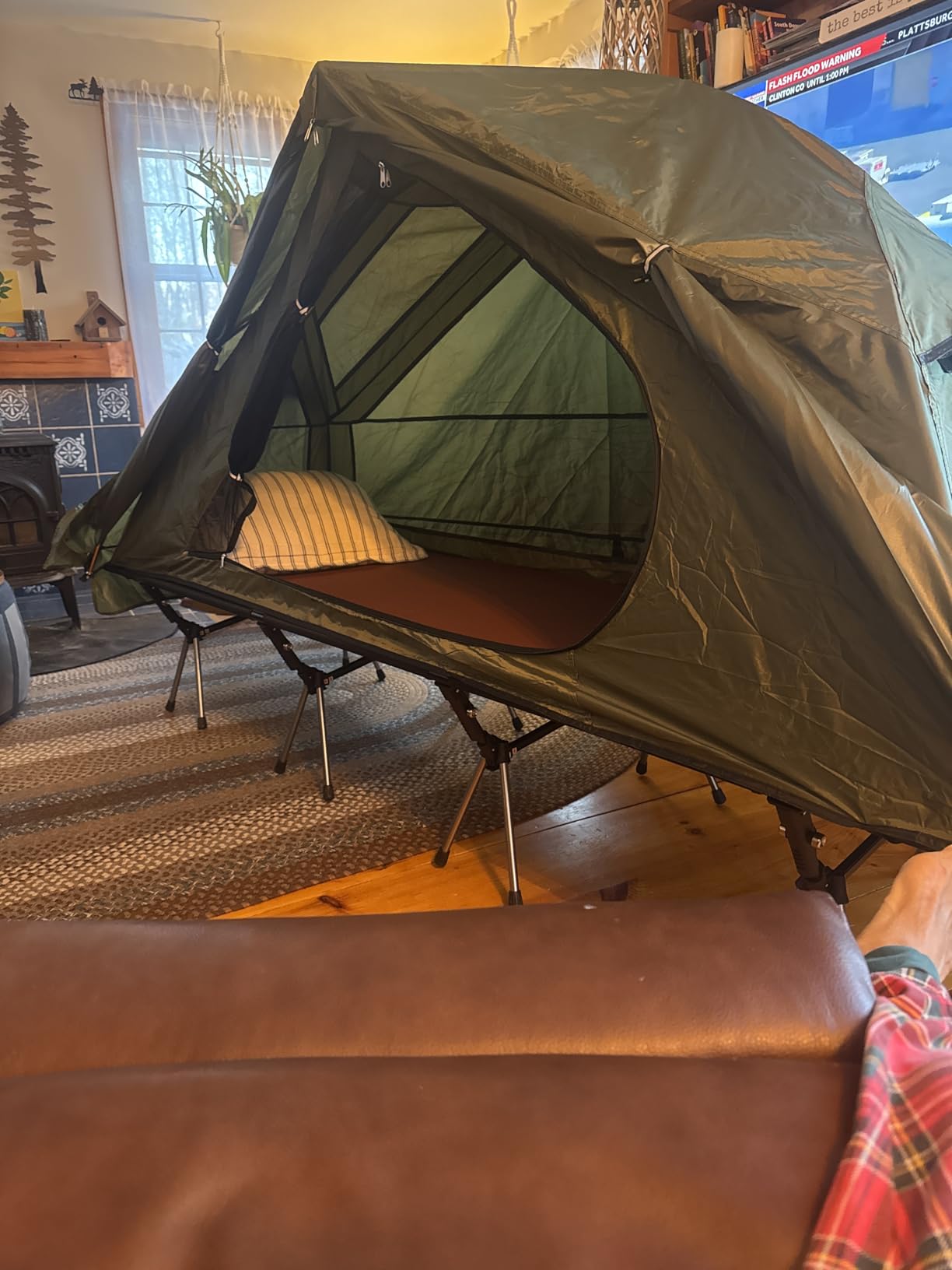 Night Cat Camping Cot Tent - Waterproof 1-Person Off-Ground Combo Cot Bed for Adults Portable Easy Set-up Tent Green 27.5'' Width customer photo 1