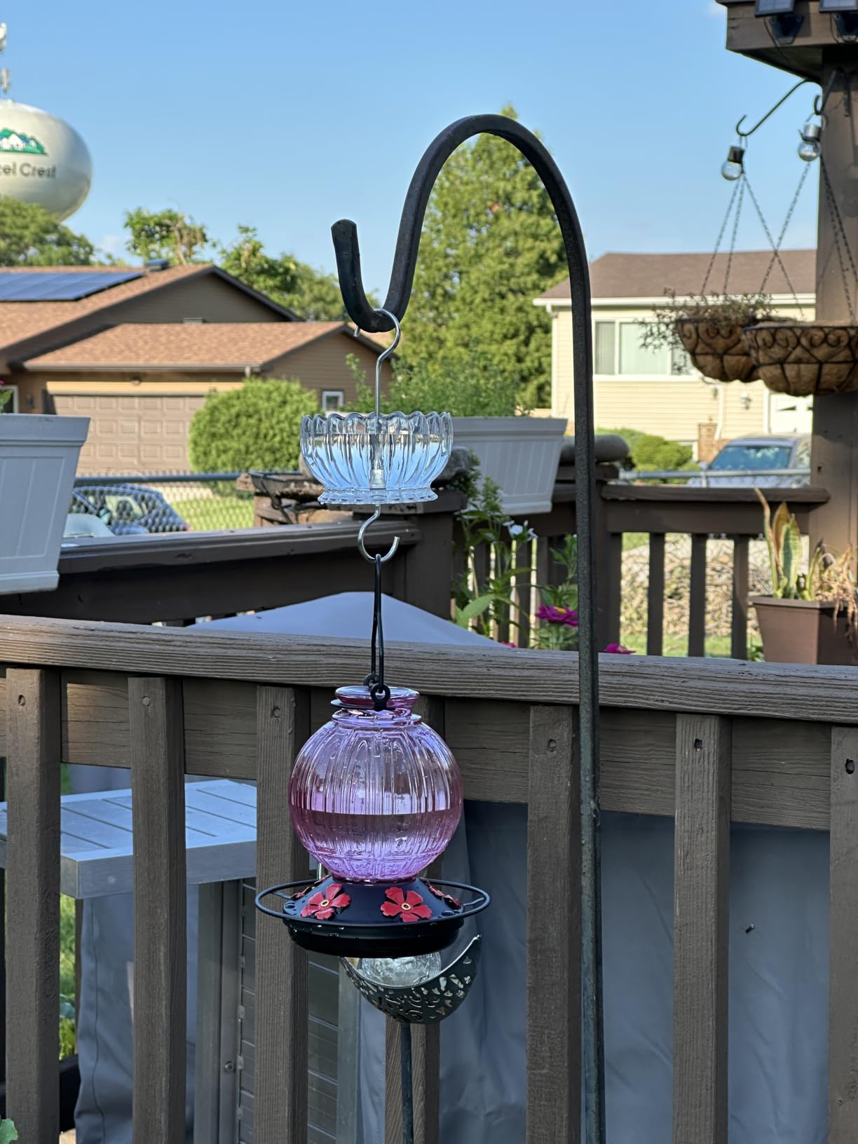 Glass Hummingbird Feeder for Outdoors Hanging, 26 fl oz Bird Nectar Feeder | 5 Metal Flower Feeding Ports, 360° Perch Ring, Easy Refill & Clean, Leakproof, Ideal for Backyard, Garden Outdoor Decor, Red customer photo 2