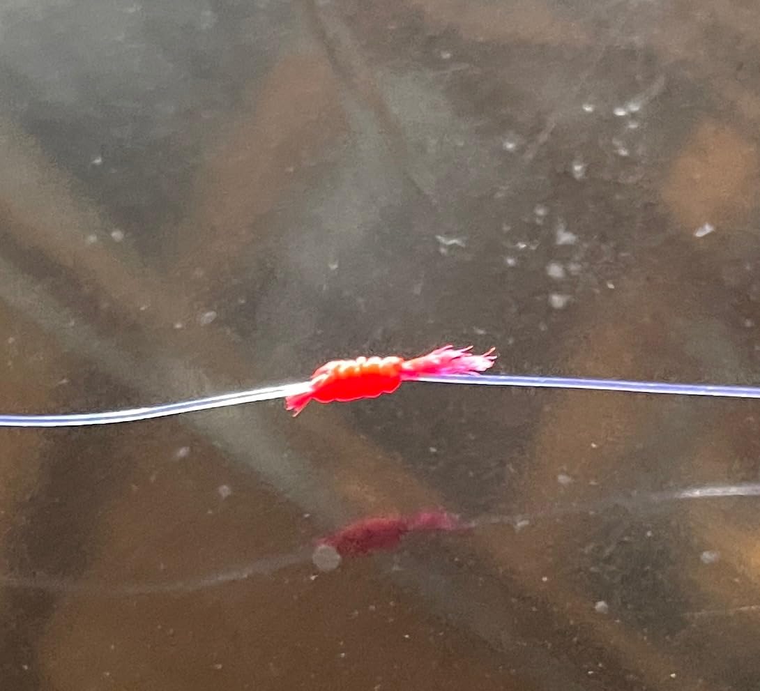 YOTO Bobber Stops for Fishing, Float Bobber Stops String Knots & Fishing Glow Beads customer photo 2