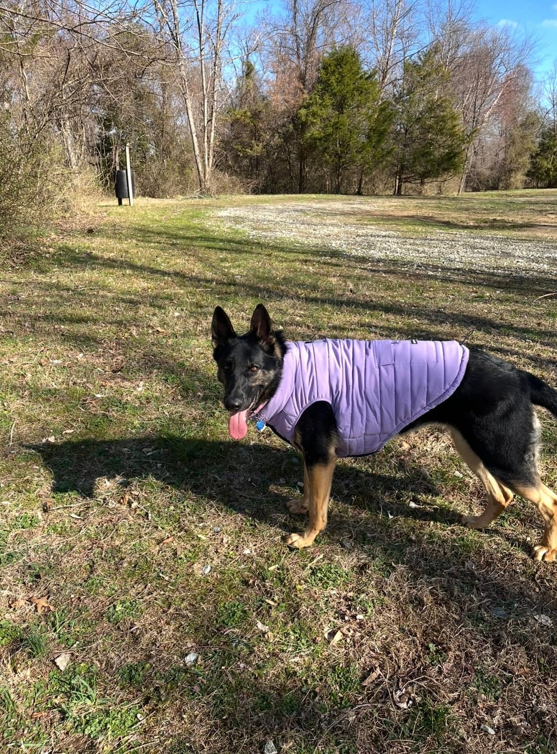 Spark Paws Winter Dog Jacket - Warm Water Resistant Coat, Warm Fleece Lined | Real Winter Warmth, Fleece Lined, Windbreaker Shell, Fits Deep Chests, for Puppies, Small, Medium & Large Dogs customer photo 1