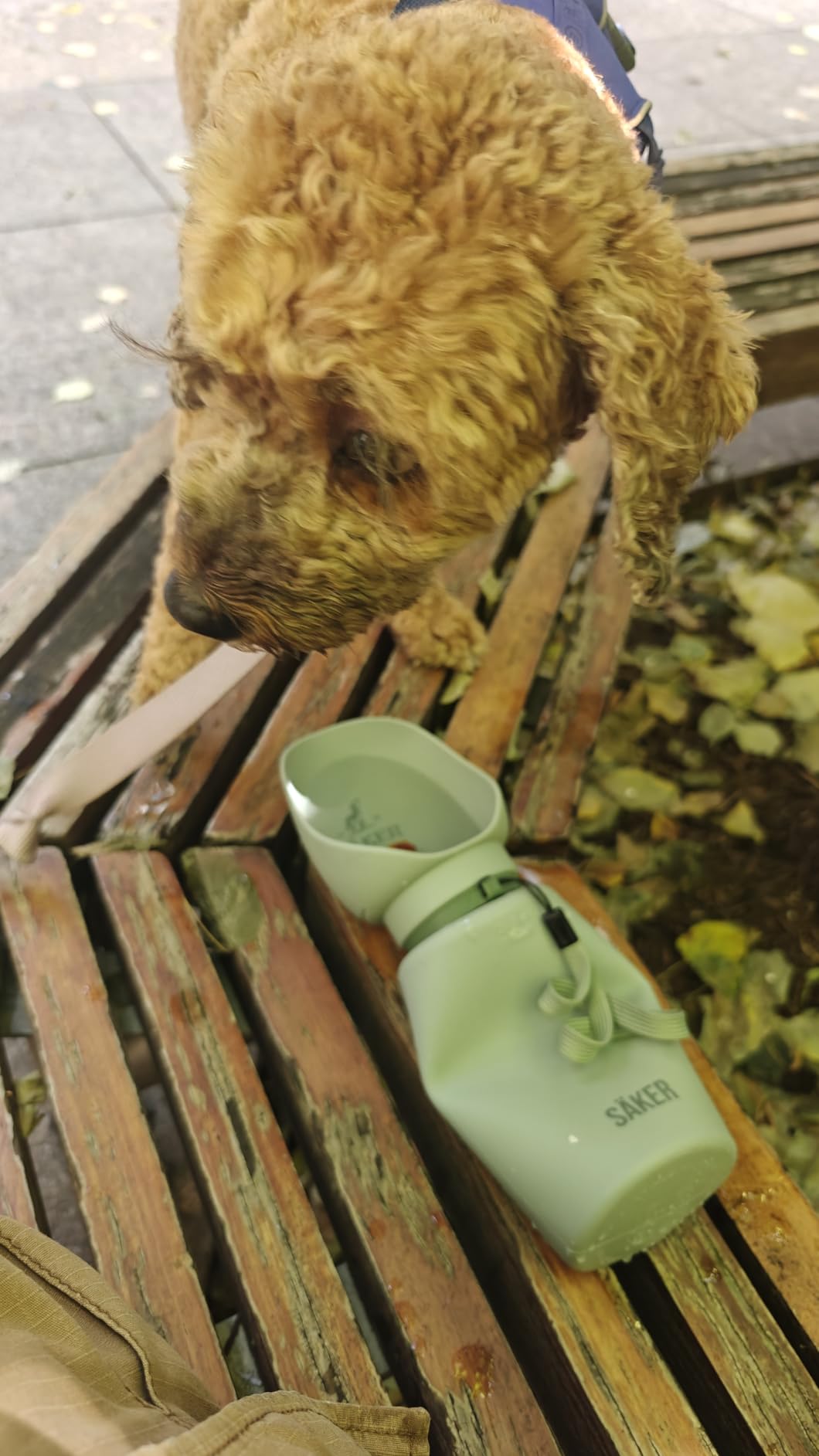 SÄKER Portable Dog Water Bottle, Collapsible Water Bottle for Dogs Perfect for Walking, Hiking and Outdoors | Works as a Portable Water Bowl | Designed in Montreal - 350ml customer photo 1