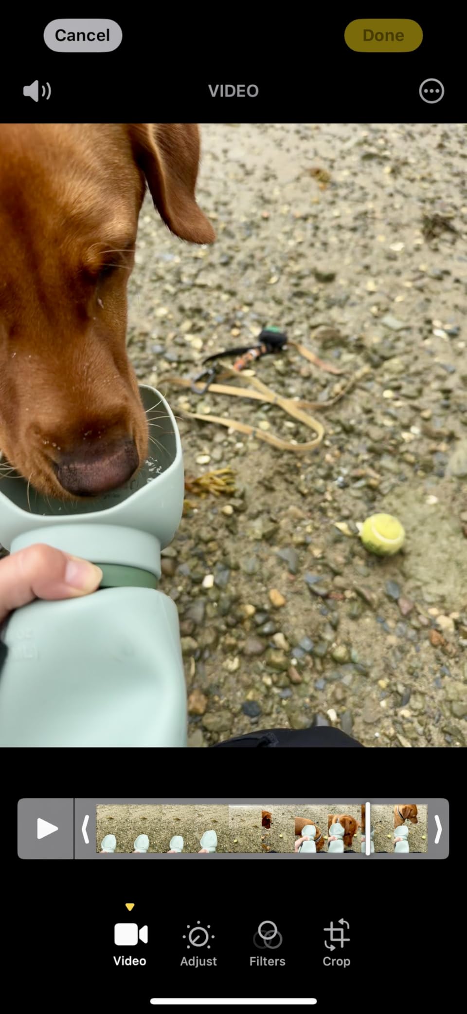 SÄKER Portable Dog Water Bottle, Collapsible Water Bottle for Dogs Perfect for Walking, Hiking and Outdoors | Works as a Portable Water Bowl | Designed in Montreal - 350ml customer photo 2