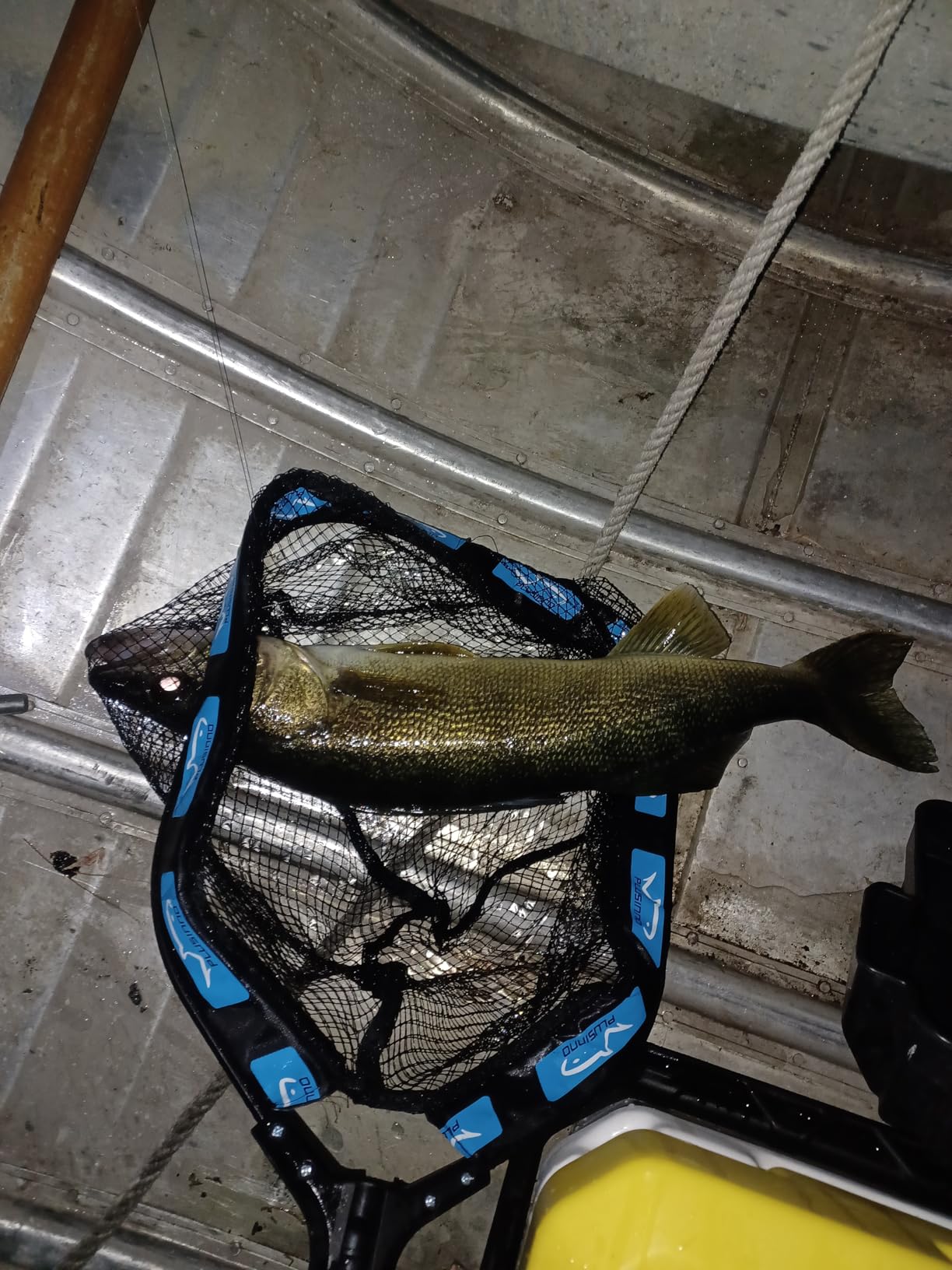 QualyQualy Floating Fish Basket 41/73 Gallons Extra Large for Live Caught, Fully Foldable Fishing Net Holder for Bait Live Well Collapsible Mesh Fishing Holder Cage customer photo 2