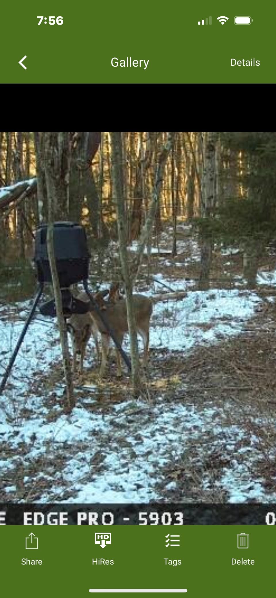 Moultrie Gravity Deer Feeder - Tripod Game Feeder with Easy Conversion Adapter customer photo 1