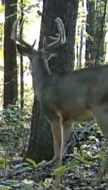 Moultrie Edge 3 Cellular Trail Camera - 2-Pack, 40MP, 0.5s Trigger | Scout from Anywhere, HD photos via Mobile app, 1080p video, multi-carrier, low-glow flash, GPS, Two Pack customer photo 2