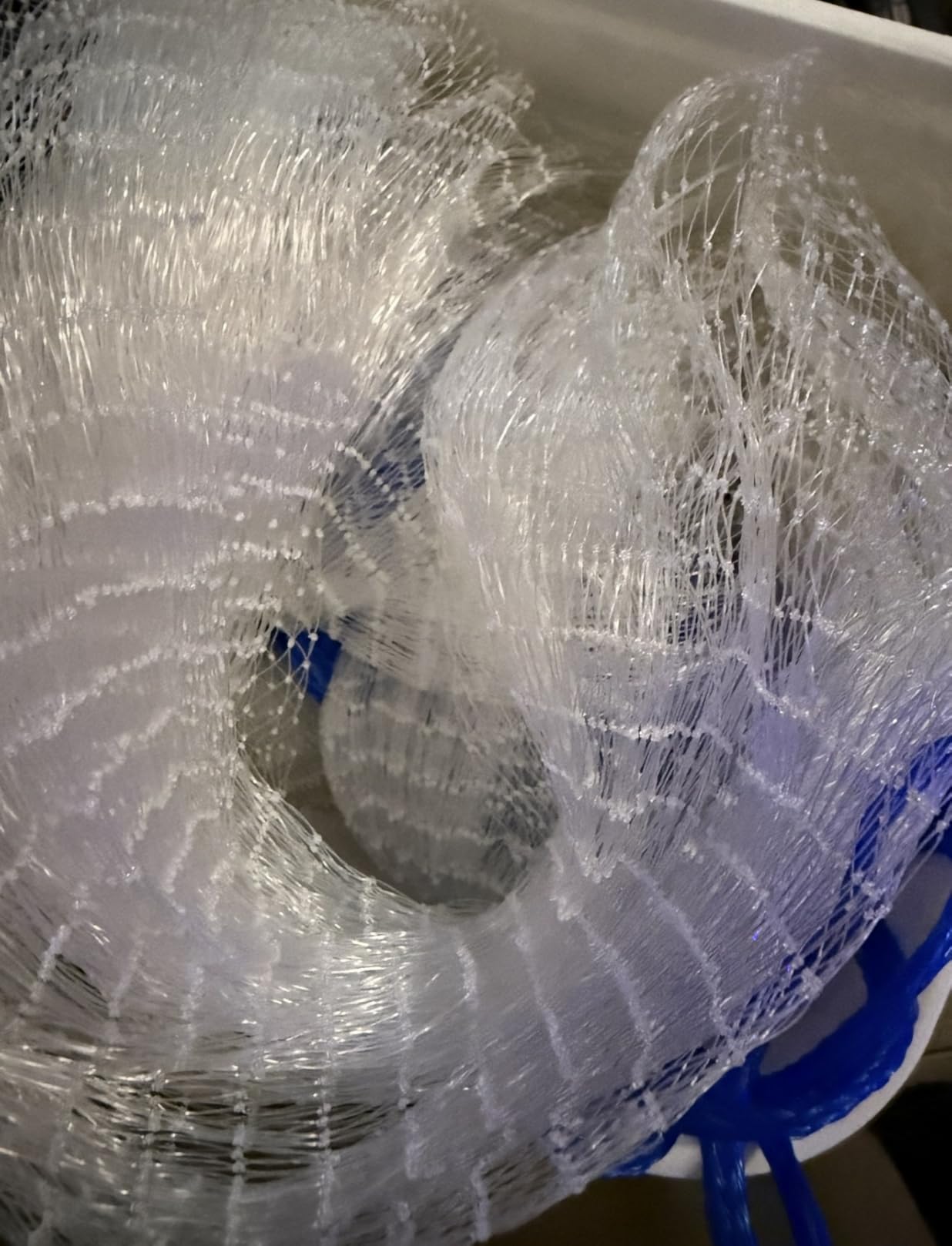 1.3 lbs/ft Fishing Cast Net with Eco-Friendly Lead Weights, ProCast Series | 3/8 inch Mesh Size, Throw Nets for Freshwater & Saltwater, 4/6/8/10/12 Ft Radius Casting Net customer photo 1