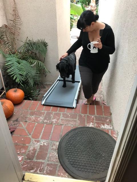 Solvit 62337 Deluxe Telescoping Pet Ramp, Standard (62305) | Extends 39-72 in to Reach Vans & SUVs, High-Traction Surface, Side Rails, Folds with Safety Latch, Supports Dogs up to 400 Lb customer photo 2