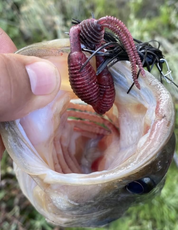 Strike King Bitsy Flip Jig Fishing Lure, Extra-Strong Weed Guard customer photo 1