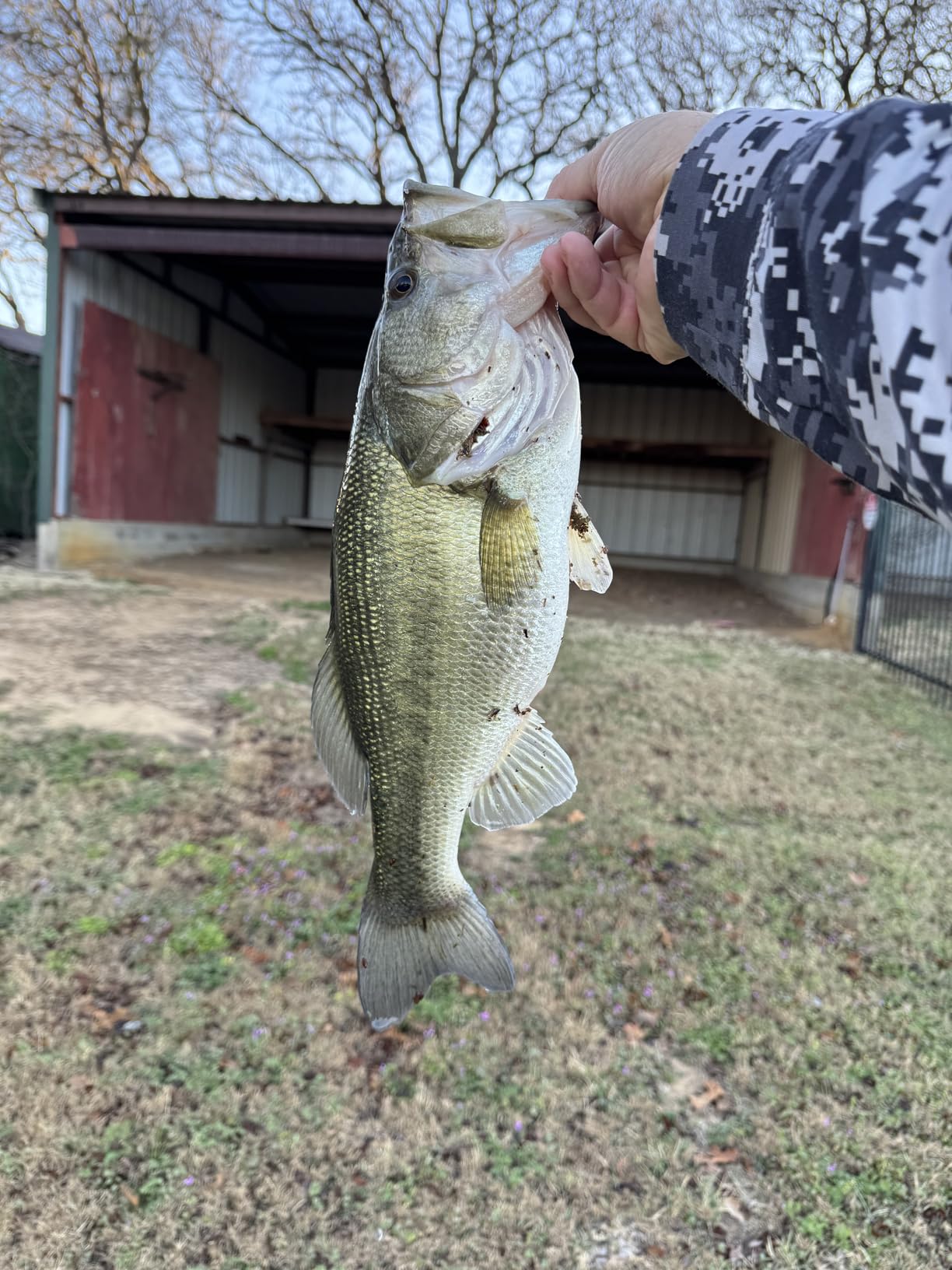Booyah BYB38-608 Buzz Bait, 3/8-Ounce, Black/Black Alum Clacker, Model:BYB38608 customer photo 1