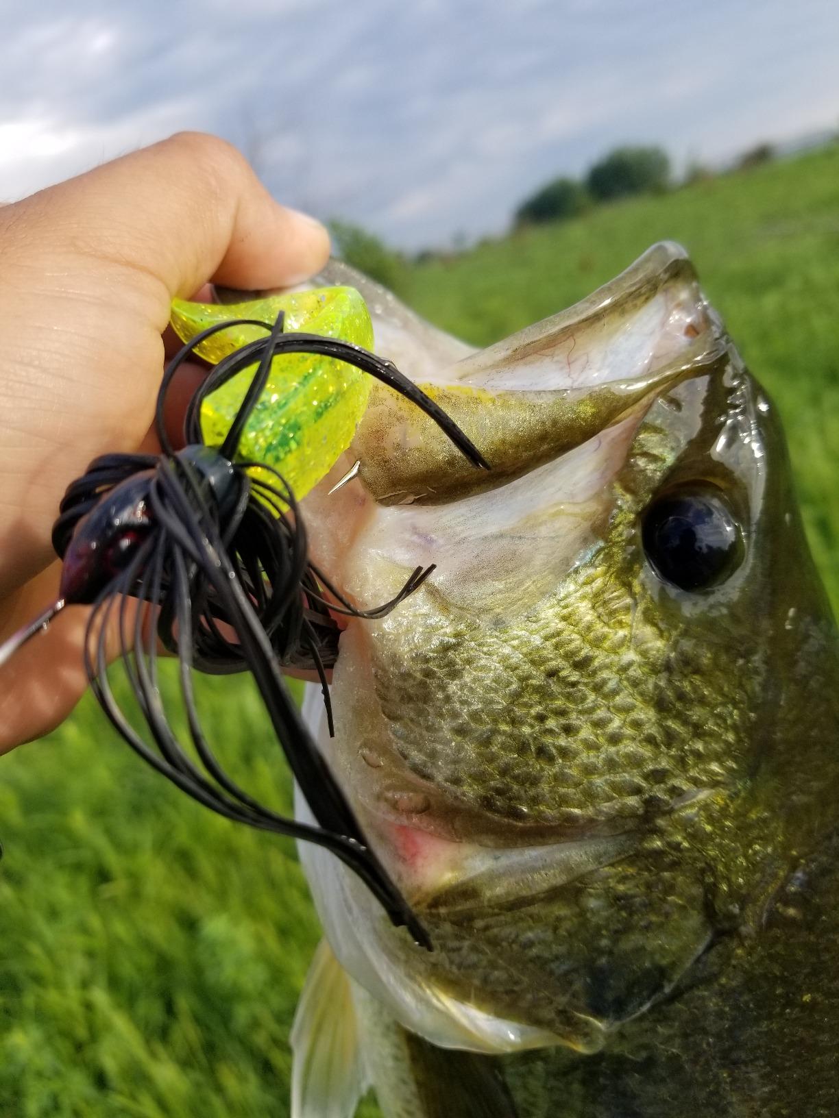 Booyah BYB38-608 Buzz Bait, 3/8-Ounce, Black/Black Alum Clacker, Model:BYB38608 customer photo 2