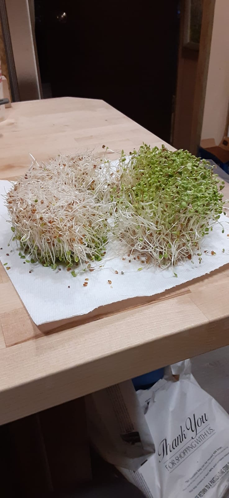 Handy Pantry Complete Sprouts Growing Kit | Sprouting Kit with 3 Stackable Sprouting Trays | Seed Sprouter, BPA-Free | Includes Organic Sprouting Seeds & Instructions customer photo 2