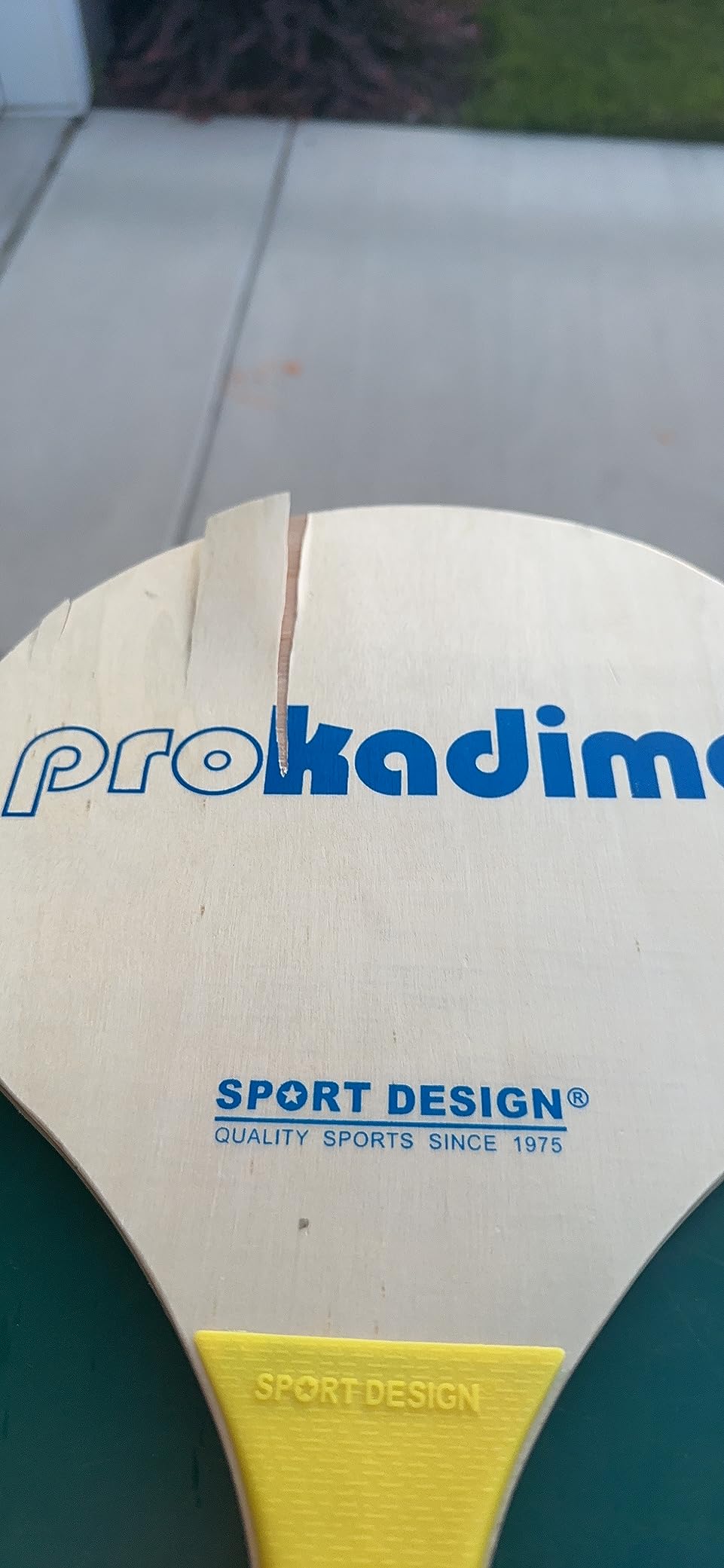 Pro Kadima Paddleball Beach Set customer photo 2