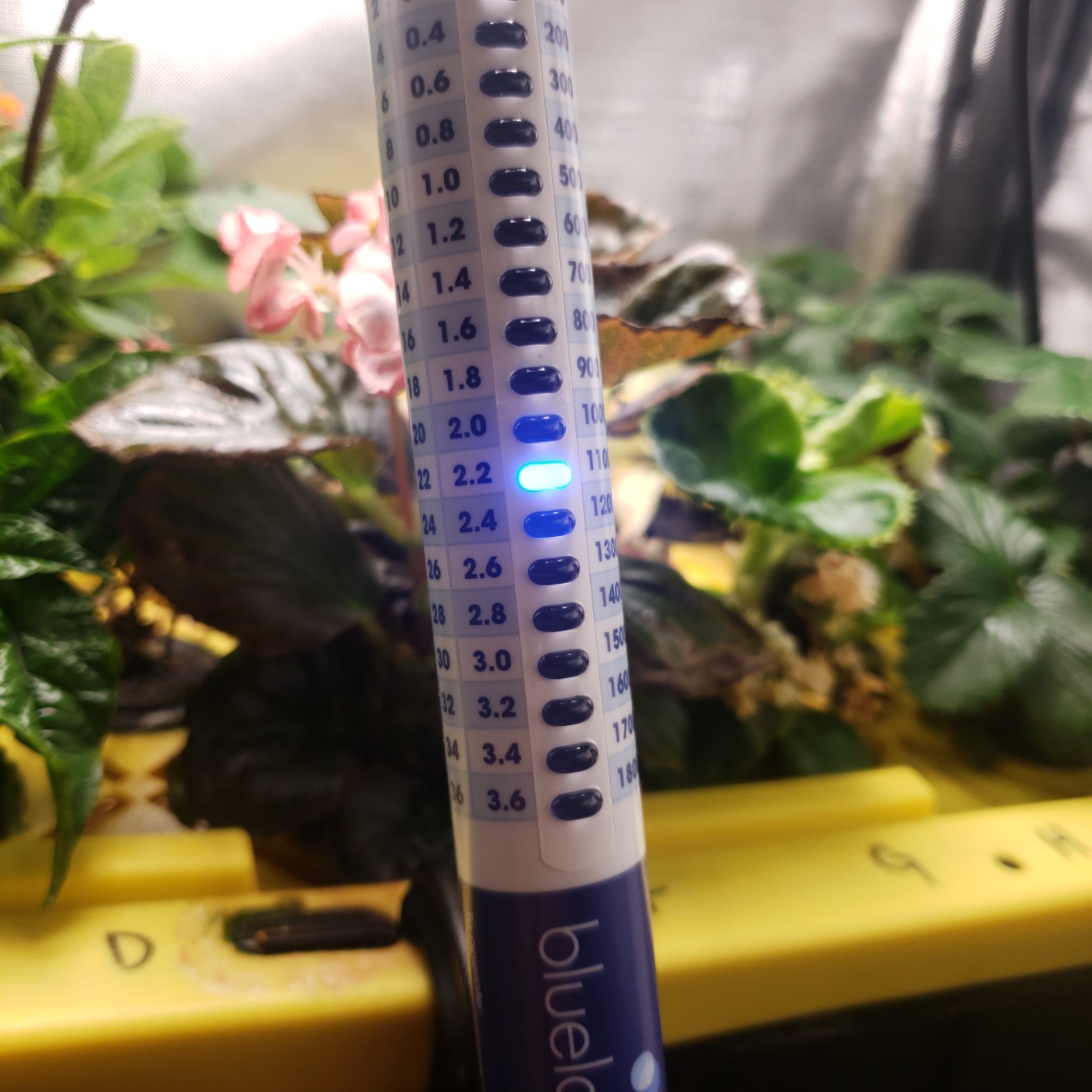 Bluelab Commercial Truncheon Digital Nutrient Meter customer photo 1