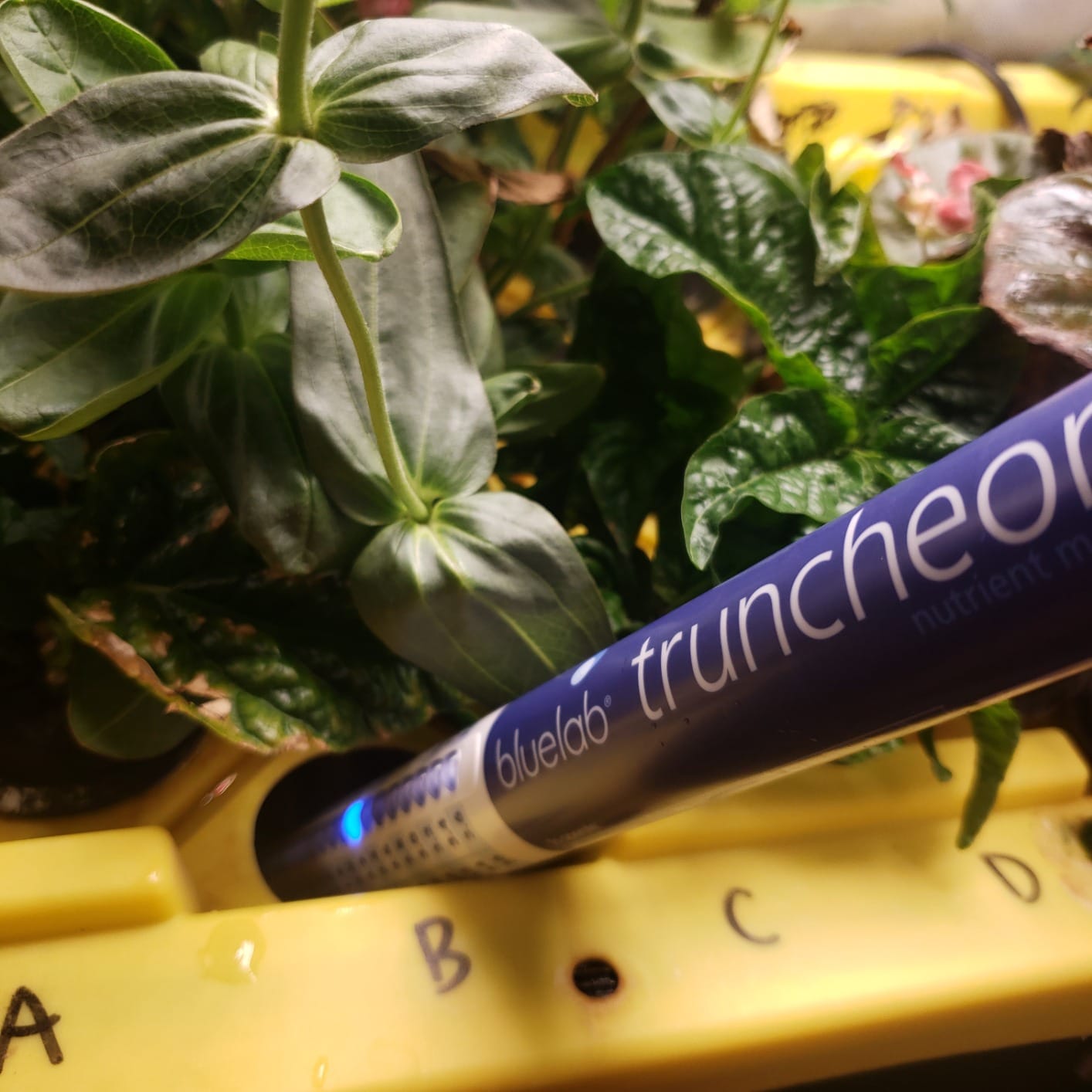 Bluelab Commercial Truncheon Digital Nutrient Meter customer photo 2