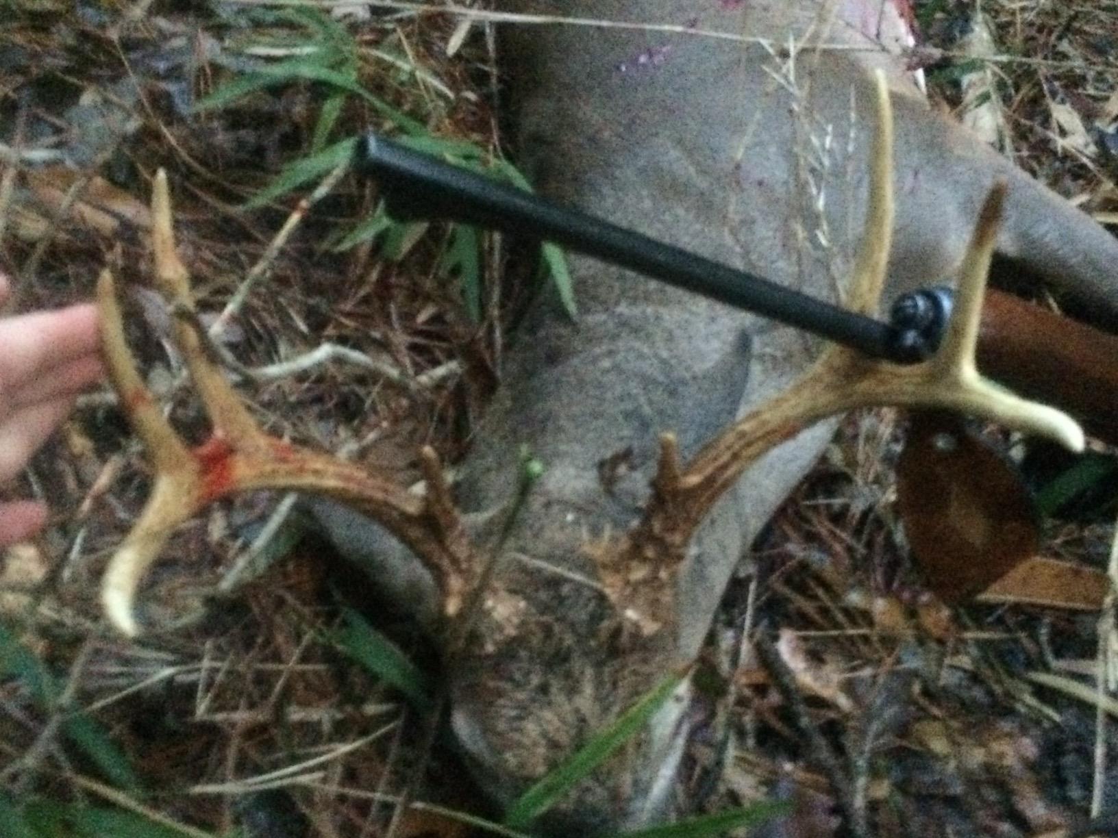 Extinguisher Deer Call by Illusion | Grunt Tube | Buck, Doe, Fawn | Adjustable 10-in-1 Call | Color (CAMO/Black) | Freeze Resistant customer photo 2