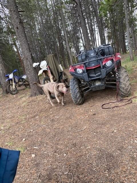 ATV TEK Arch Series Oversized Rear Rack Utility Pack, Padded ATV Cargo Bag in Kings Mountain Shadow Camo, Spacious Multi-Compartment ATV Storage Bag with Seamless Seal for Gear and Trail Essentials. customer photo 2