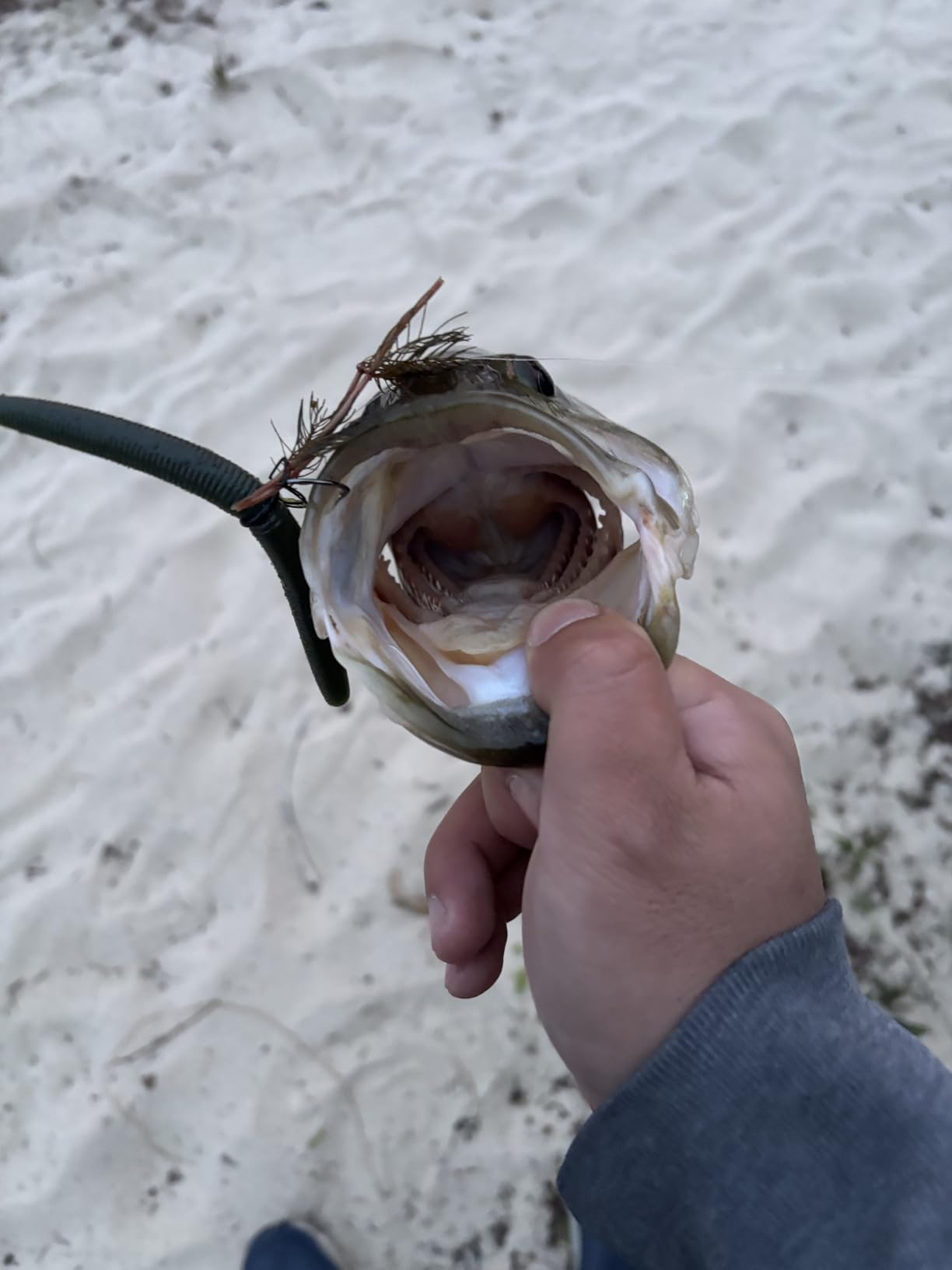 GAMAKATSU FINESSE W.G WEEDLESS #2/0 customer photo 1