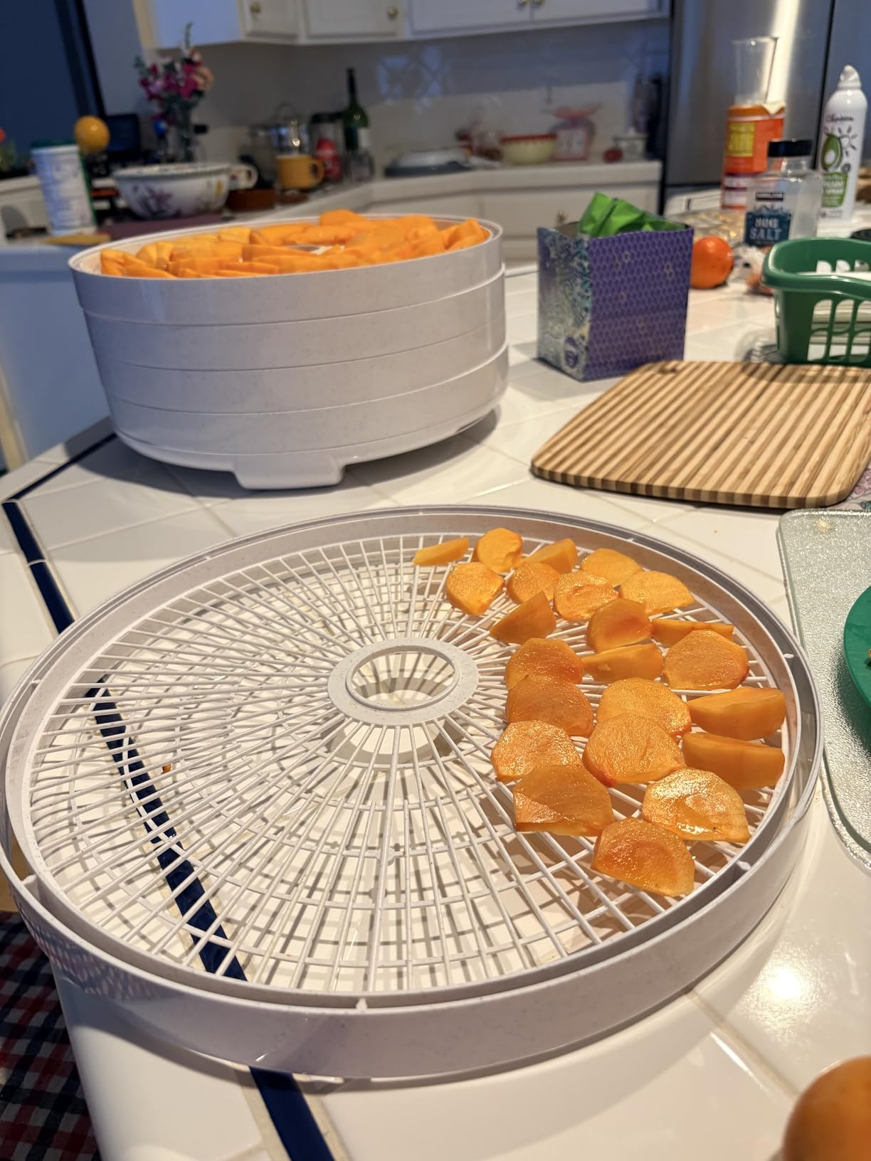NESCO FD-75A Snackmaster Pro Food Dehydrator, For Snacks, Fruit, Beef Jerky, Gray customer photo 2