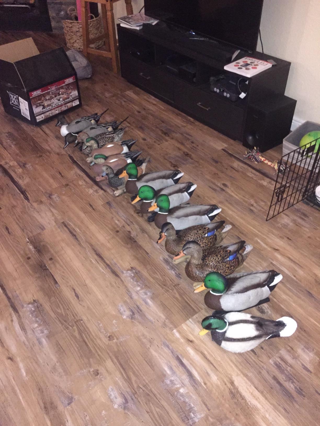 Avian X Topflight Realistic Open Water Mallard Duck Decoys, 6 Pack customer photo 1