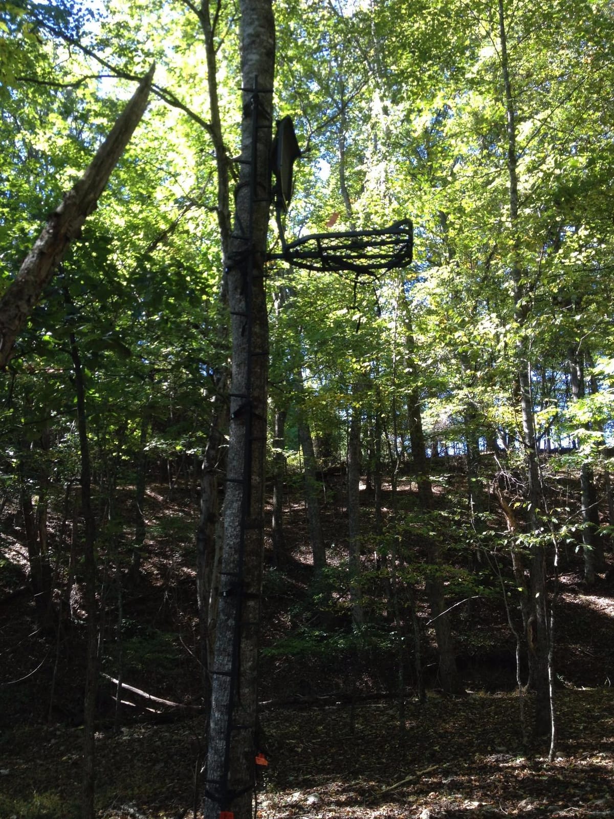 Millennium Treestands Monster Hang-on Treestand customer photo 2