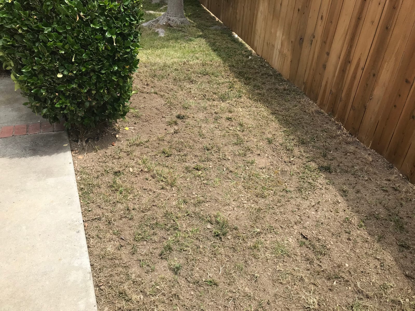 BLACK+DECKER 20V MAX* POWERCONNECT Cordless Garden Tiller Kit, Tool Only (LGC120B) customer photo 1