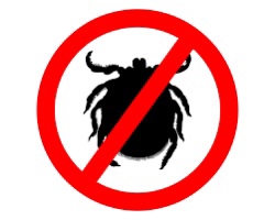 InsectGuard Permethrin Mosquitoes, Ticks and Flies Repellent & Insecticide Spray Quart (32oz) customer photo 1