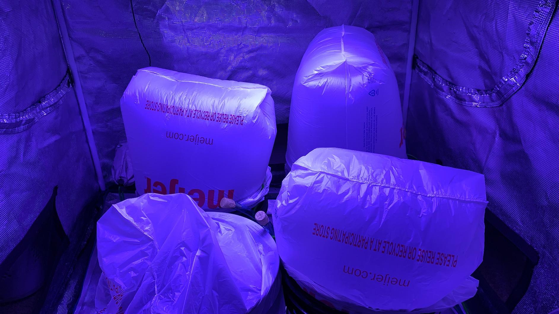 Deep Water Culture (DWC) Hydroponic Bubbler Bucket Kit by PowerGrow ® Systems (4) 5 Gallon - 6