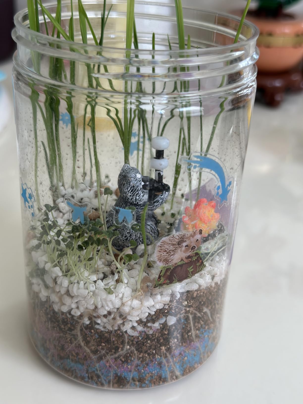 Creativity for Kids Grow 'N Glow Terrarium Kit - Educational Science Kits | Screen Free Summer Fun Activities | Gifts for Boys and Girls | Craft and STEM Projects (Ages 6+) customer photo 2