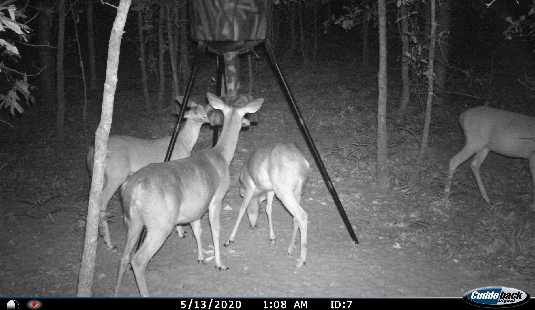 Wildgame Innovations Quick-Set 270 lb Game Feeder | Digital timer, tripod Corn/Pellet hunting feeder, 1-4 available feed times & 30-feet radius customer photo 1