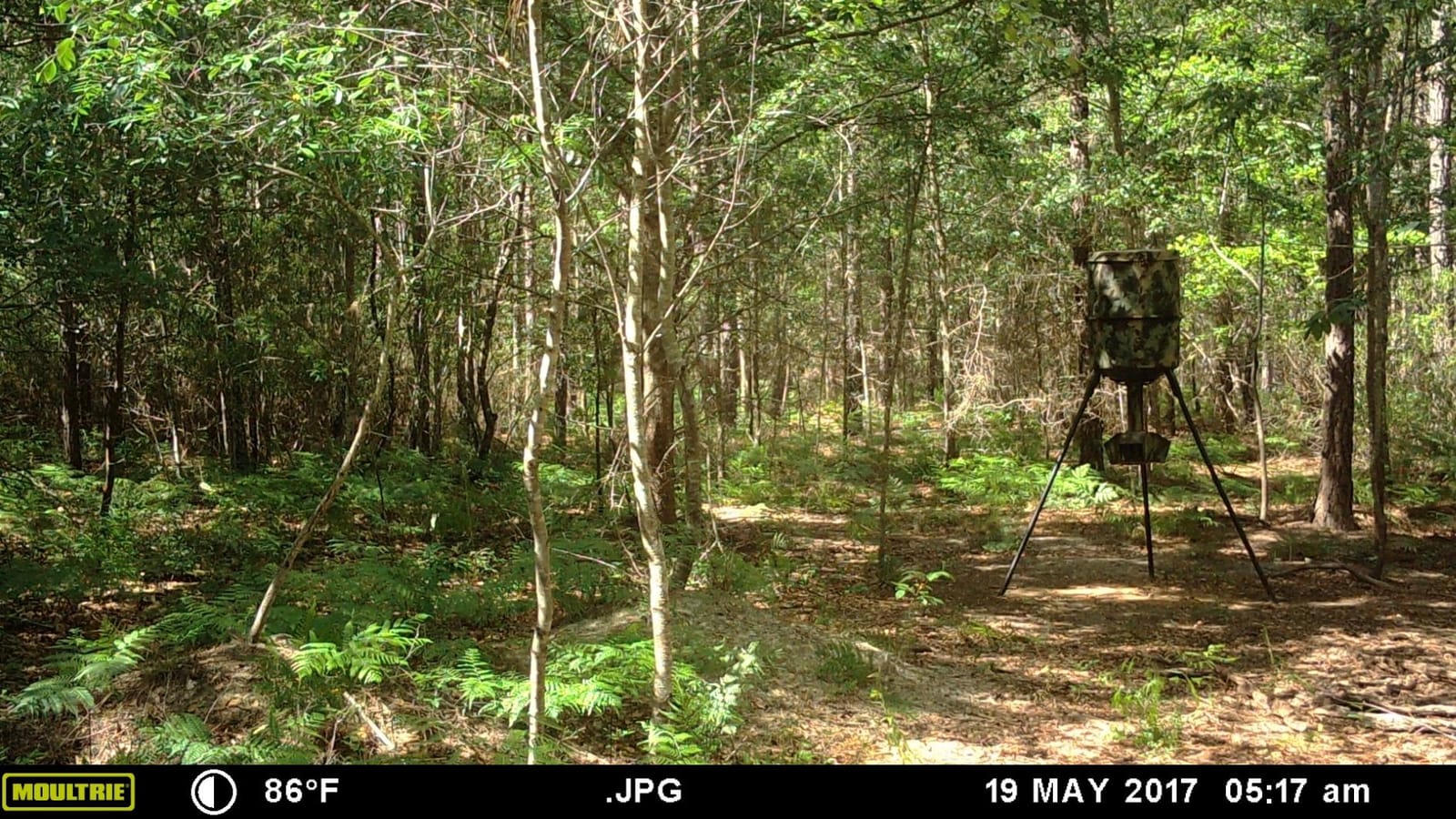 Wildgame Innovations Quick-Set 270 lb Game Feeder | Digital timer, tripod Corn/Pellet hunting feeder, 1-4 available feed times & 30-feet radius customer photo 2