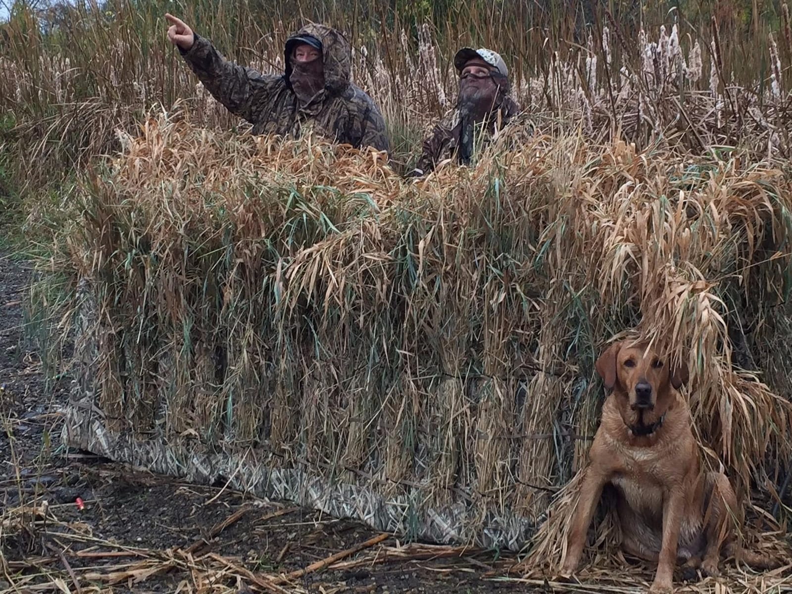 Avian-X Waterfowl Blind customer photo 1