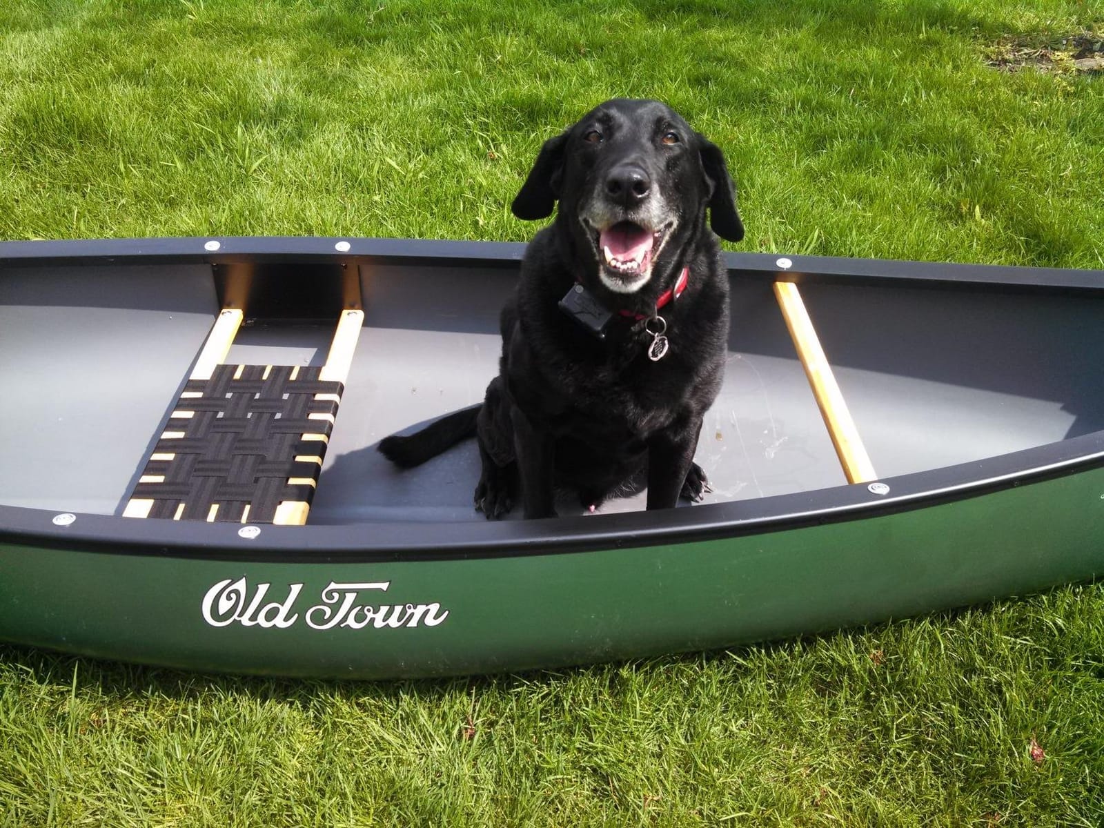 Old Town Discovery 119 Recreational Canoe, Solo, 11 ft 9 in customer photo 2