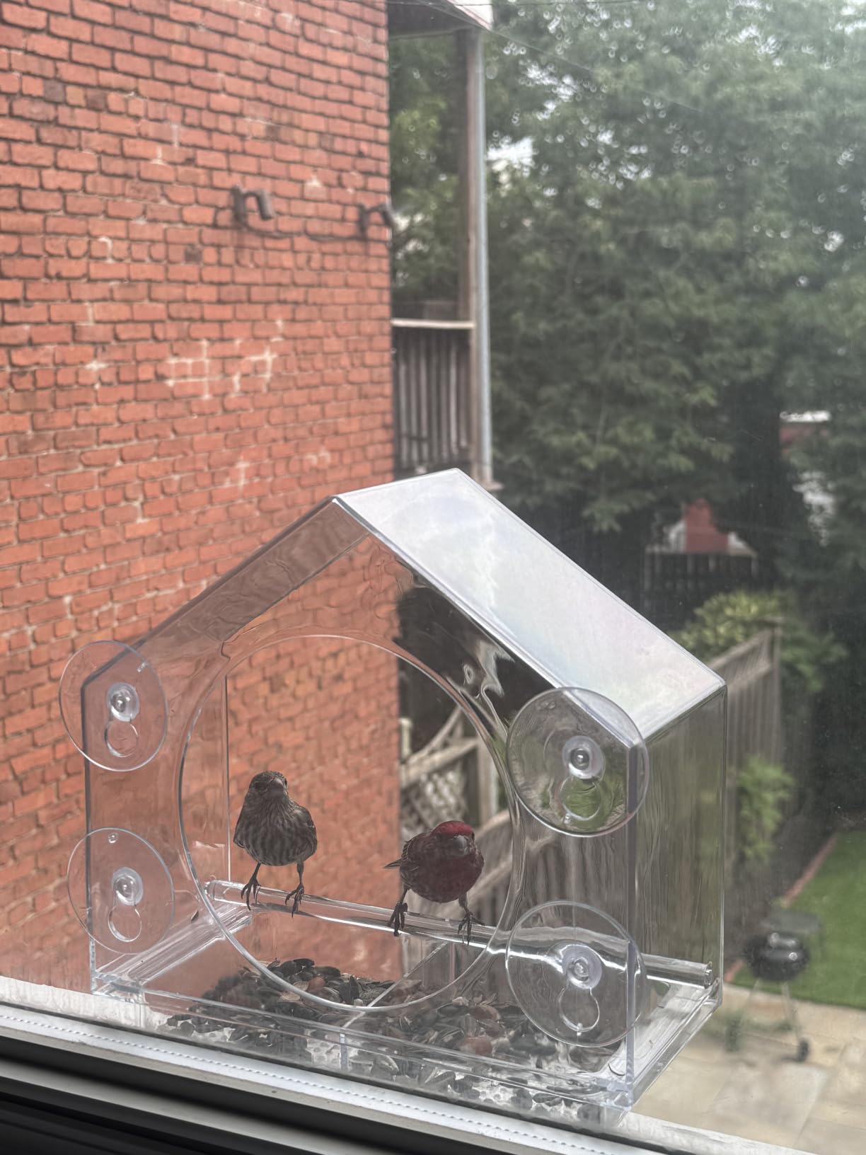 Window Bird Feeder with Strong Suction Cups, Bird Feeders for Outdoors | leak proof with sealing gasket included, bee and wasp proof flowers, large nectar capacity, refills without unmounting customer photo 2
