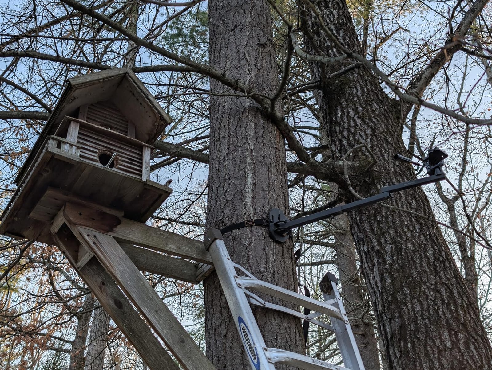 Muddy Basic Trail Camera Arm | Pan Head for Precision Game Cam Positioning, Fully Adjustable with a Head Adjustment of a Full 360 customer photo 2