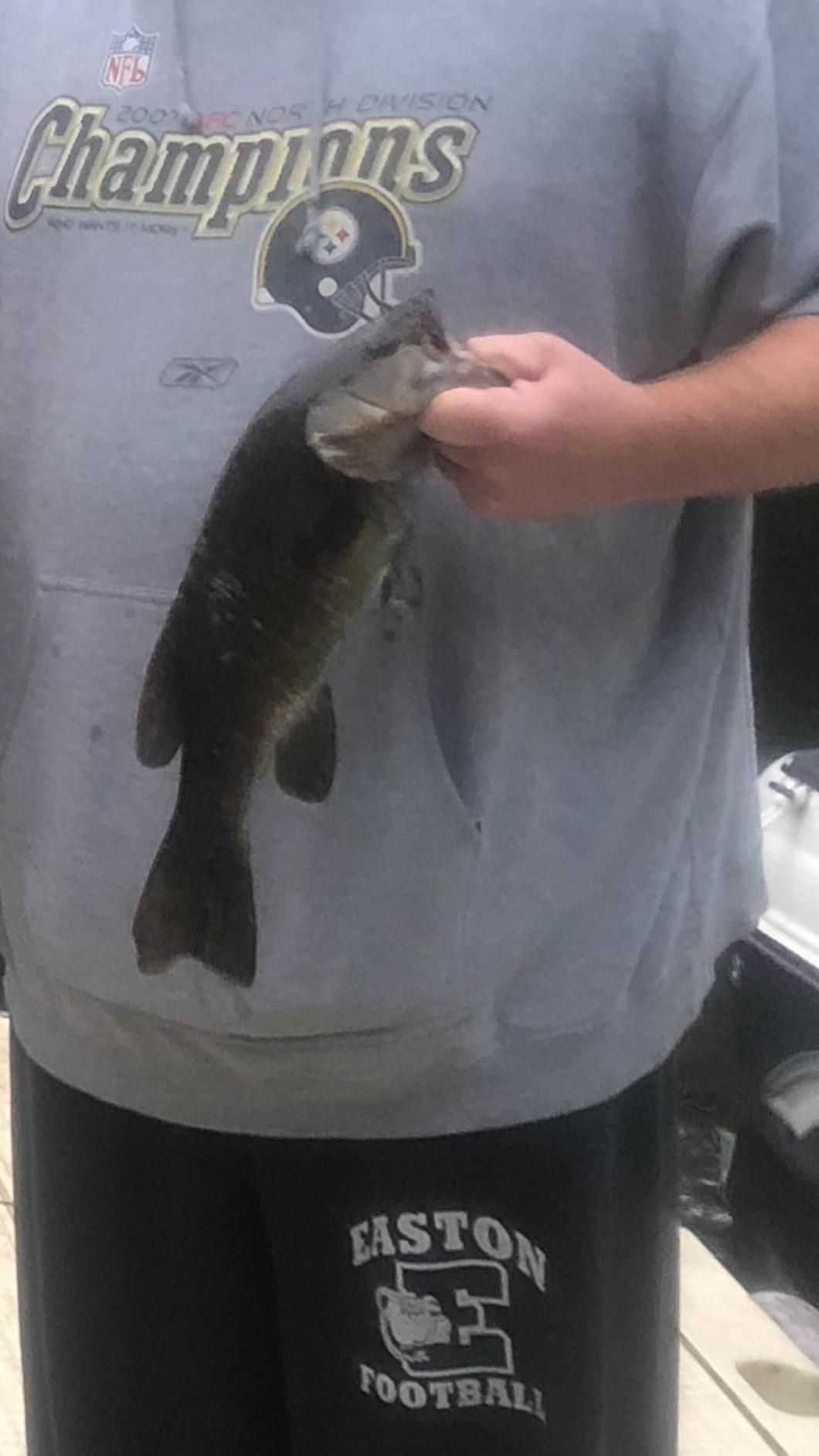 Berkley Fusion19 WeedlessWideGap Hooks Smoke Satin, Hook Size: 2/0 (5 Count) customer photo 1