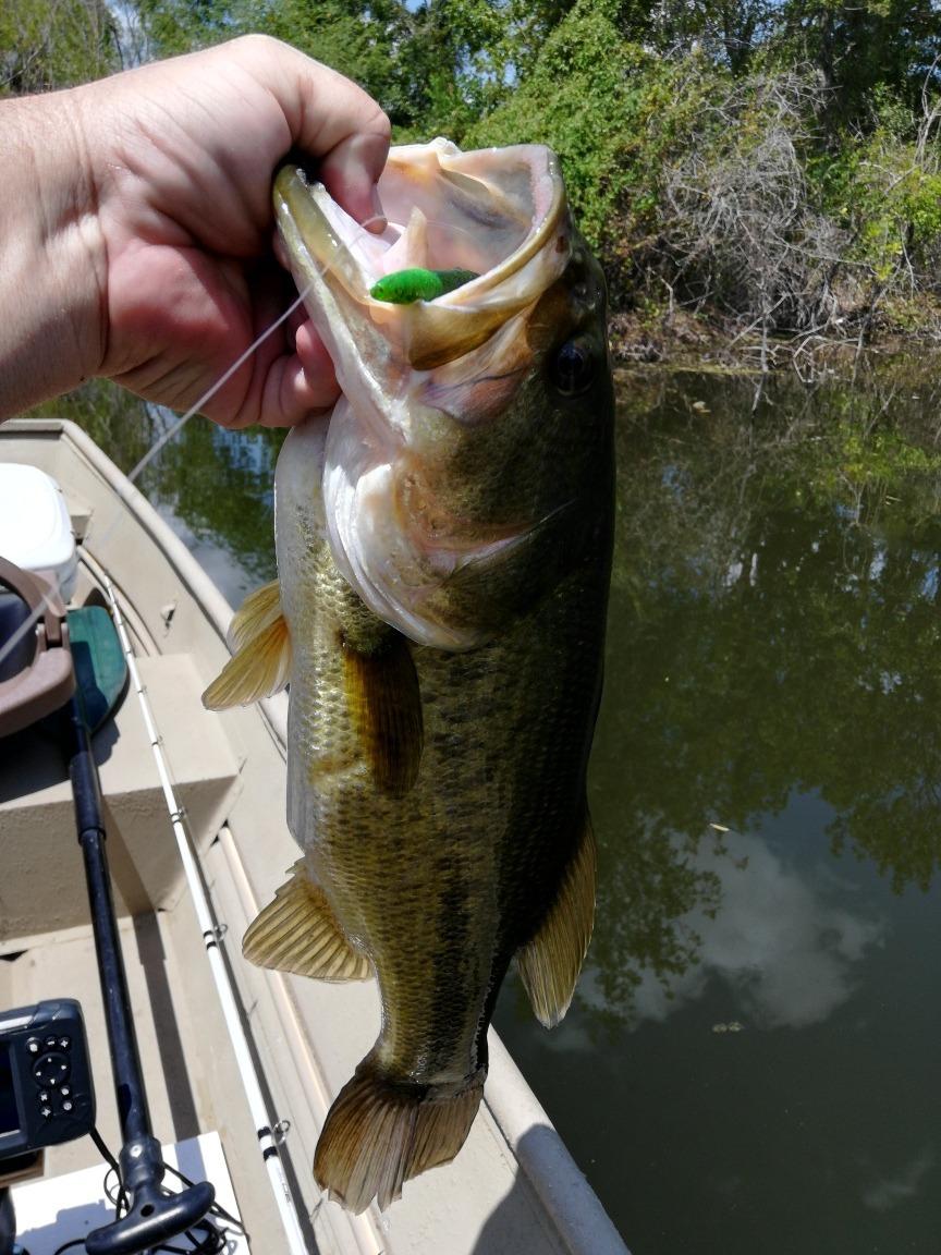 Berkley Fusion19 WeedlessWideGap Hooks Smoke Satin, Hook Size: 2/0 (5 Count) customer photo 2