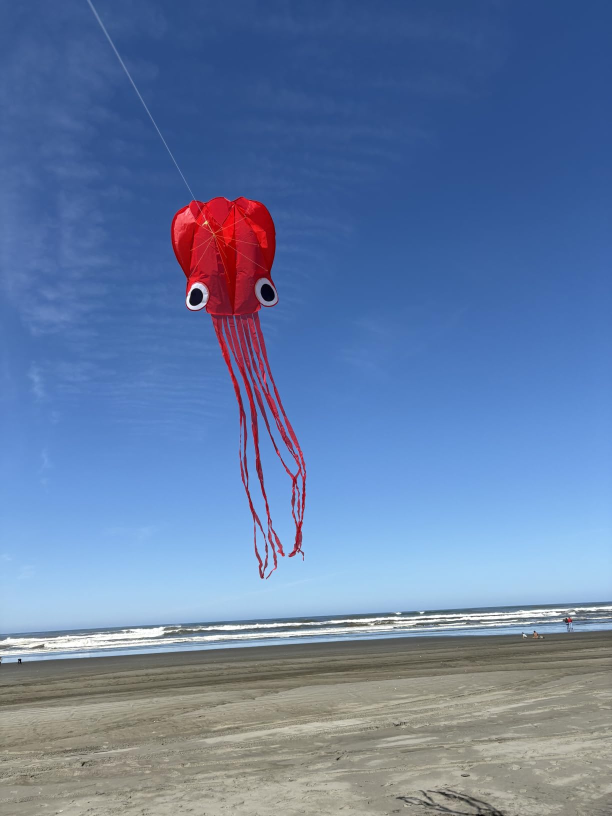 Hengda Kite Soft Octopus Kite Series, Beautiful Kite with Long Colorful Tail for Kids and Adults, Easy to Fly Beach Kites, Excellent Outdoor Games and Activity Toys, Suitable for Beginners. customer photo 2