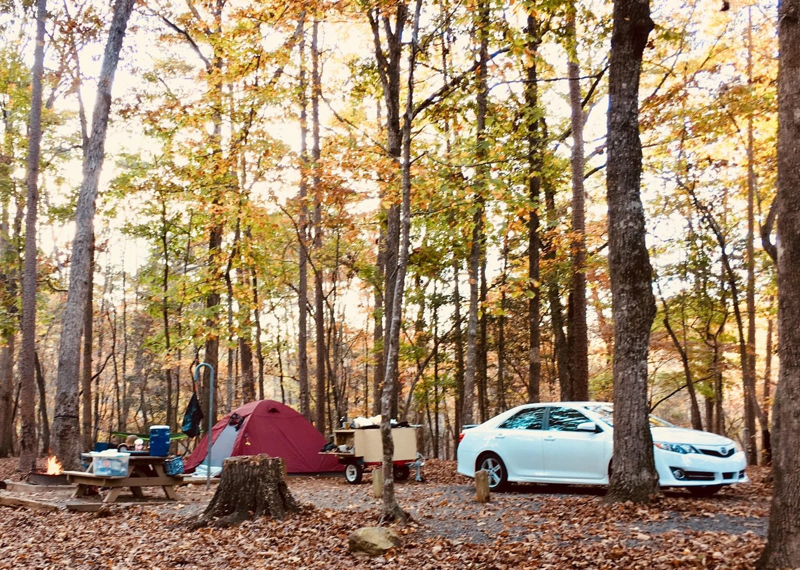 BaseCamp Base Camp 6 Person, 4 Season Expedition-Quality Backpacking Tent customer photo 1