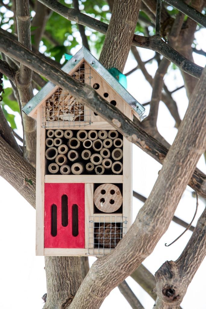 Niteangel Natural Wooden Insect Hotel, Garden Insect House for Ladybugs, Lacewings, Butterfly, Bee, Bug customer photo 2