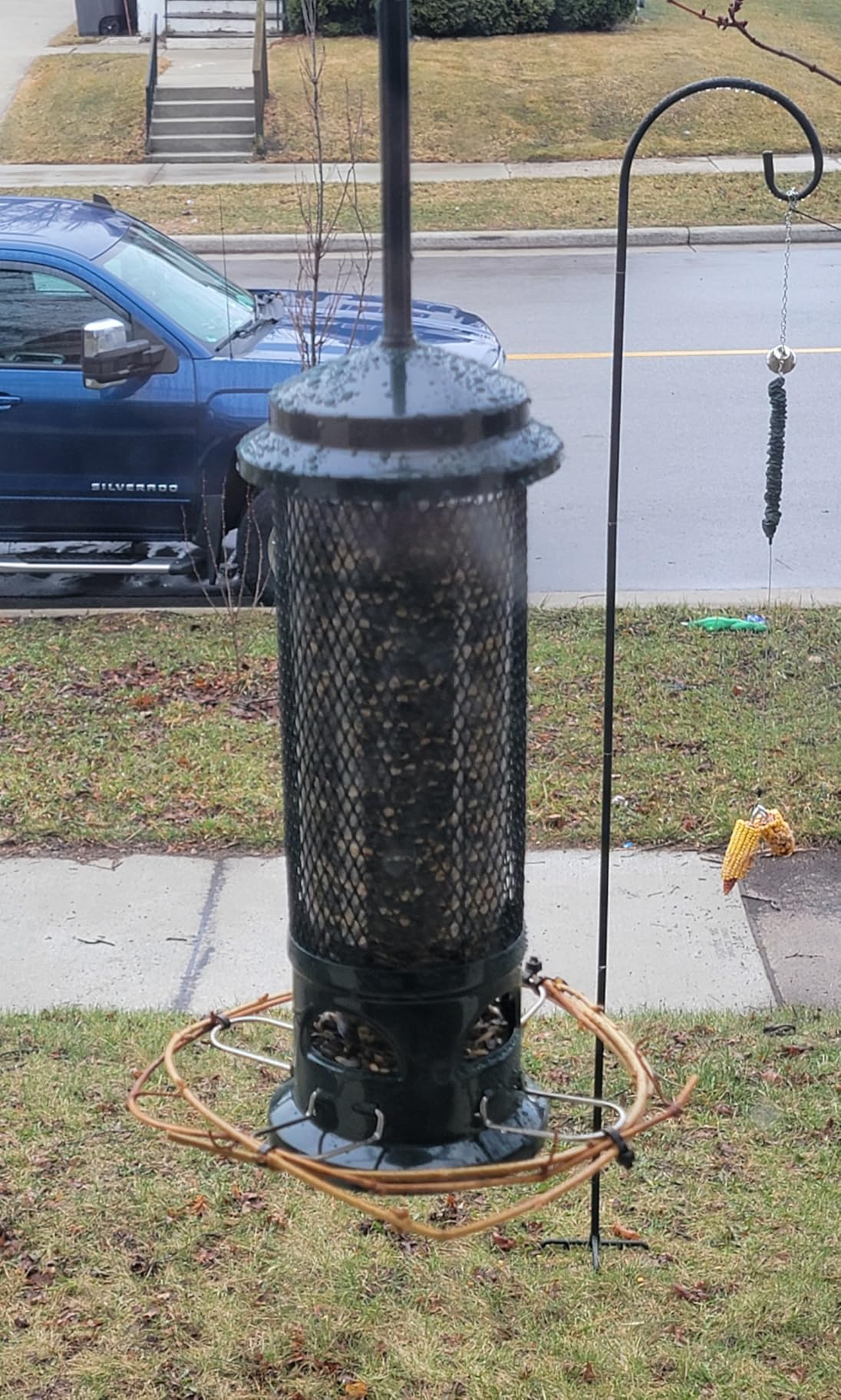 Squirrel Buster Legacy Squirrel-Proof Bird Feeder for Wild Birds - 4 Metal Removable Perches, 2.6 lb Seed Capacity, Chew-Proof Design, Easy to Clean, Green customer photo 1