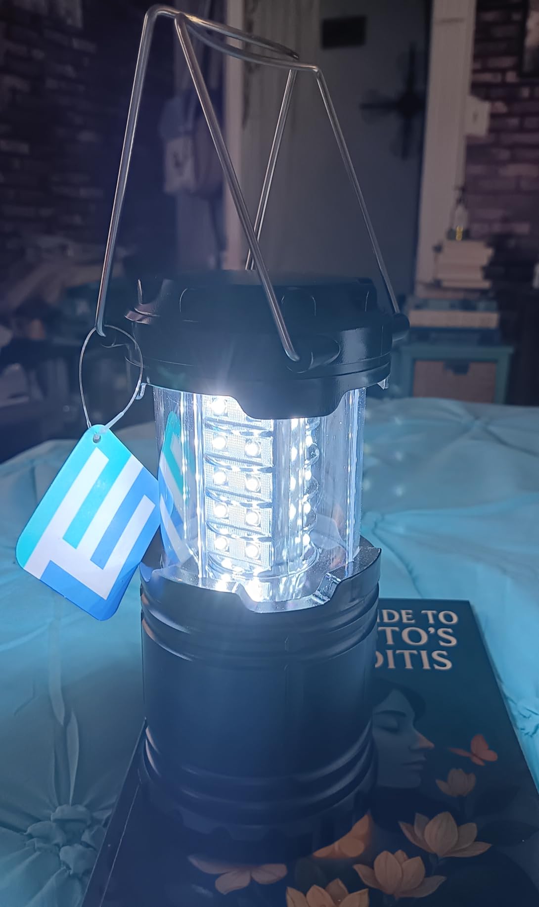 Etekcity LED Camping Lanterns, Battery Included, 4 Pack customer photo 1