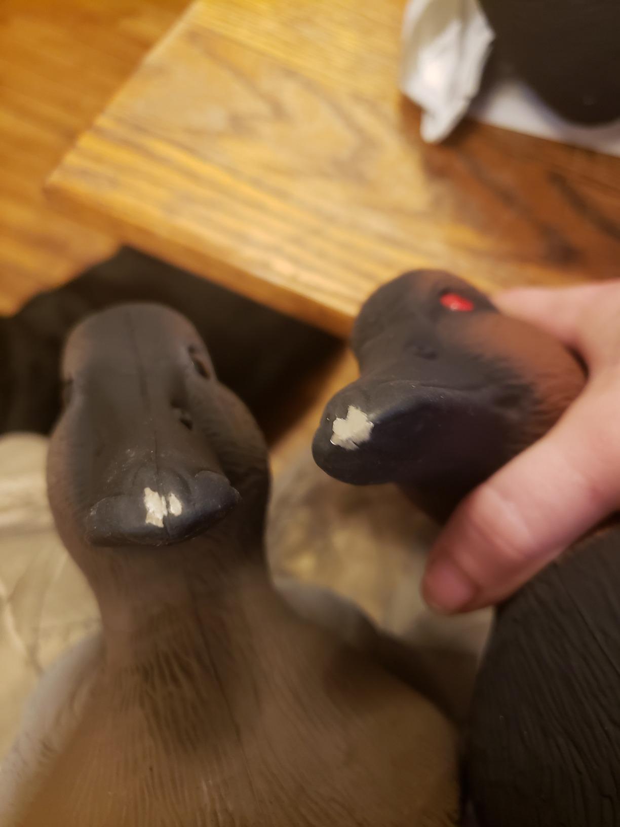 Higdon Outdoors | Standard Canvasback Duck Decoys, Foam-Filled customer photo 1