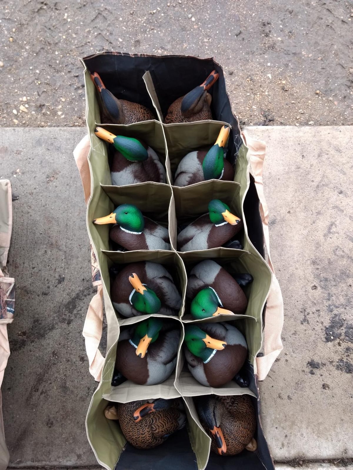 DecoyPro 12 Slot Duck Decoy Bag - Hunting Equipment to Protect Duck Decoys - Padded & Adjustable Shoulder Strap - Duck Hunting Accessories with Water & Dirt Drain System customer photo 2