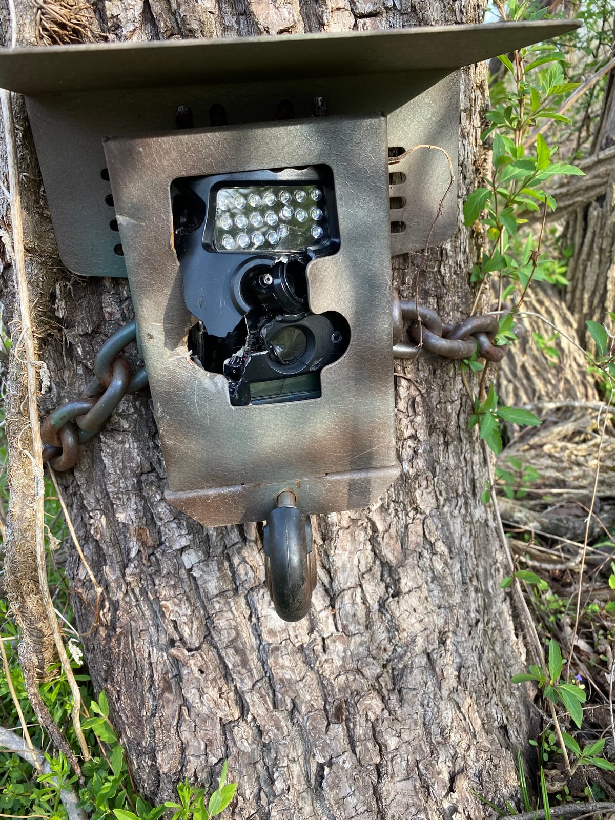 Steel Security Box for Wildgame Innovations Terra Trail Cameras - Durable 16-Gauge Camo Case with Lockable Theft Protection customer photo 1