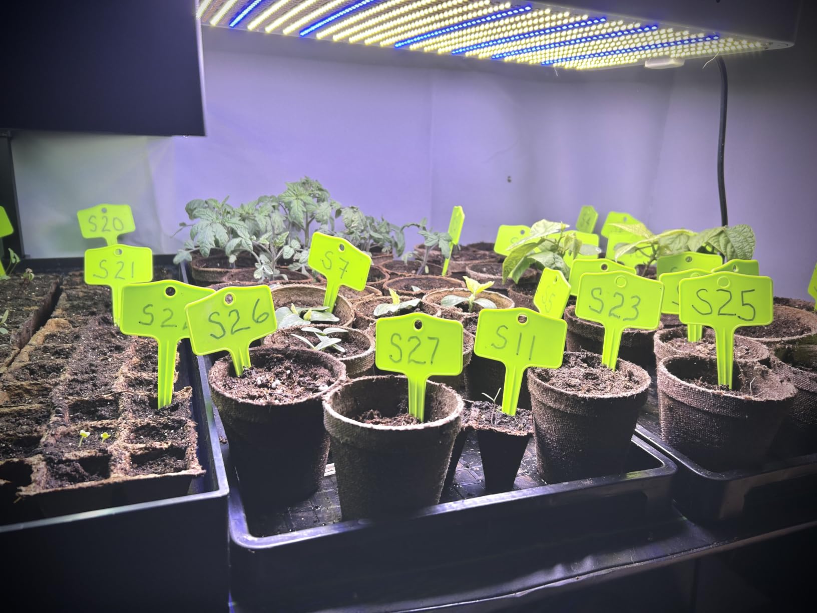 7 Inch Clone Dome - 5 Pack Humidity Vented Domes - Plant Growing customer photo 1