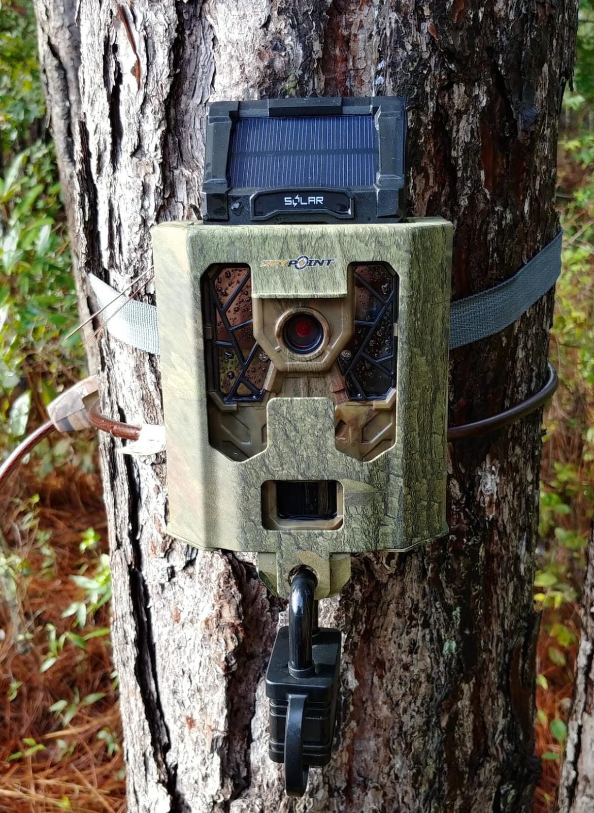 SPYPOINT Cellular Trail Cameras Security Box - SB-200 Steel Security Box fits 42 LED Cellular Game Camera | Protective Heavy Duty Steel Case customer photo 1