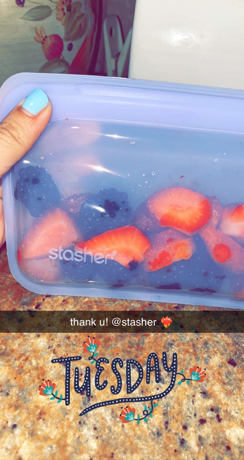 Stasher Premium Reusable Silicone Food Storage Snack Bag, Clear, 12 oz | Food-Safe Silicone, BPA-Free, Leak-Free, Eco-Friendly, Freezer, Microwave, Dishwasher, Oven Safe, Lunch Container, Snack Bags customer photo 1